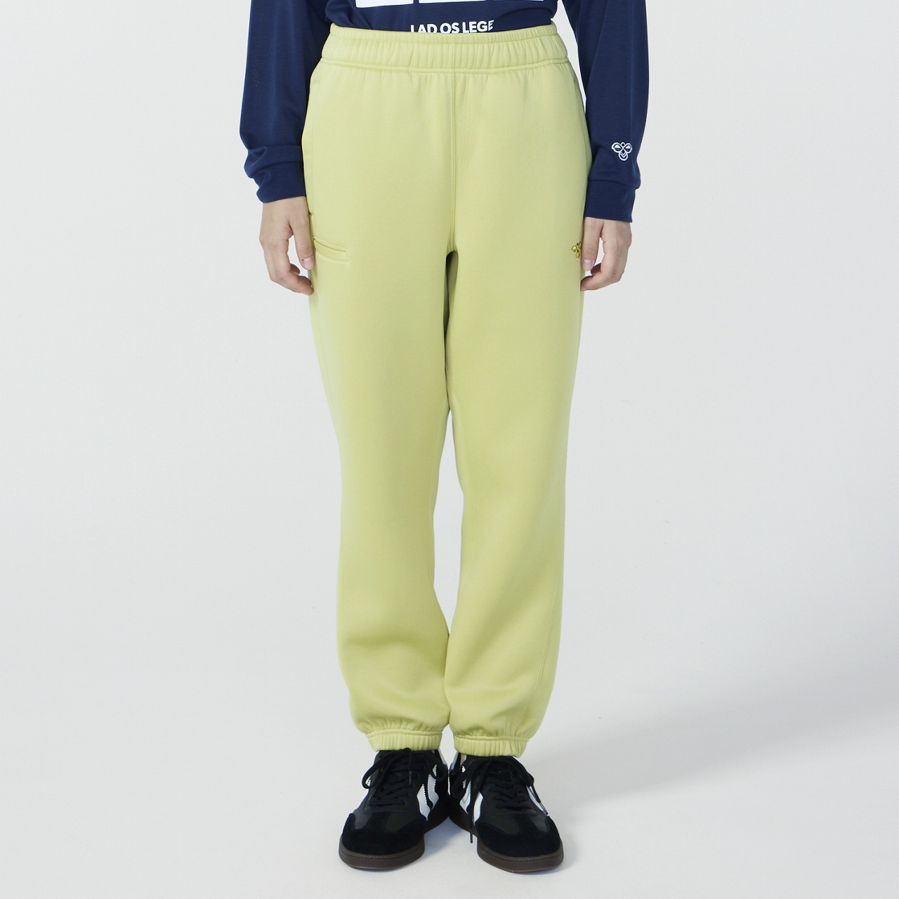 item_4487_ZSSK-HAP8303P-343-